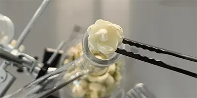 Professional distillation equipment used in botanical active constituent extraction